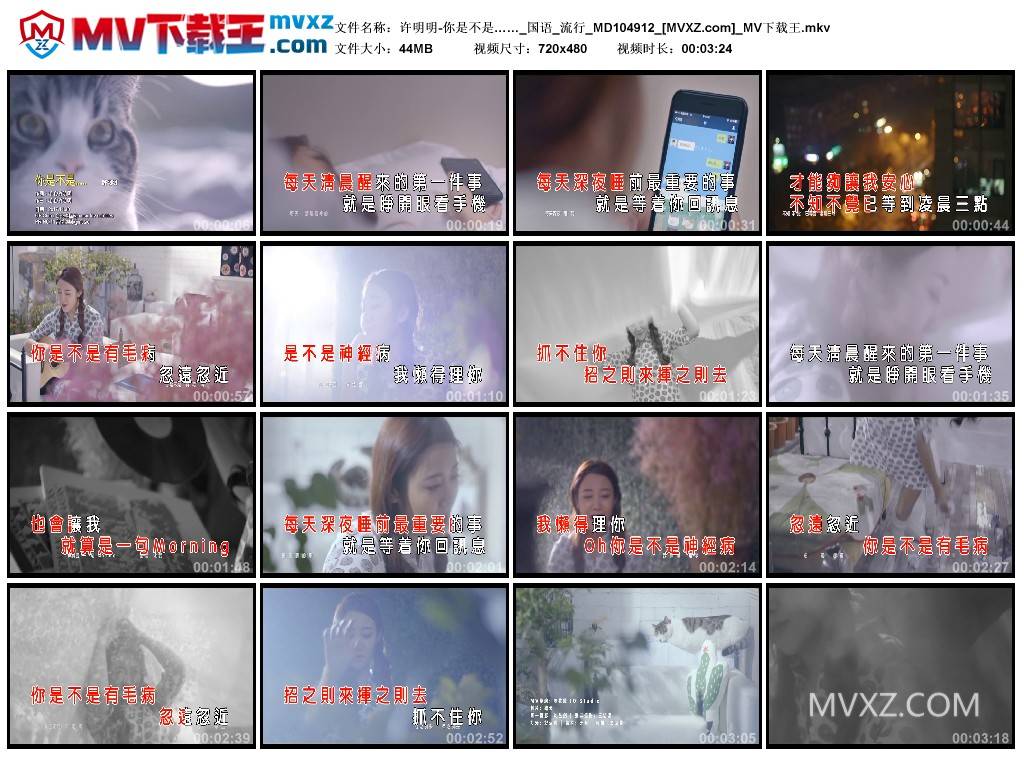 许明明-你是不是……_国语_流行_MD104912